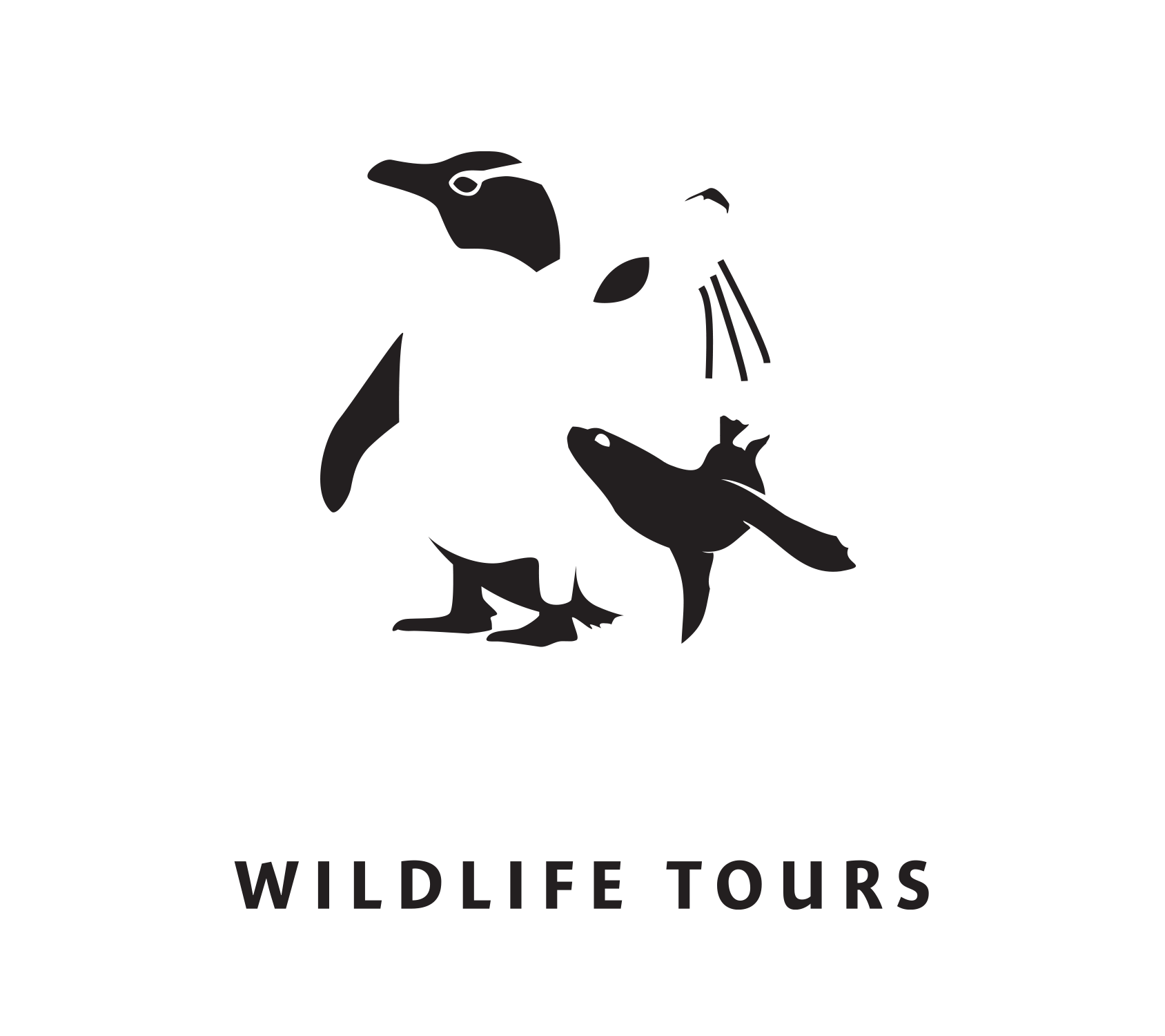 Clearwater Wildlife Tours