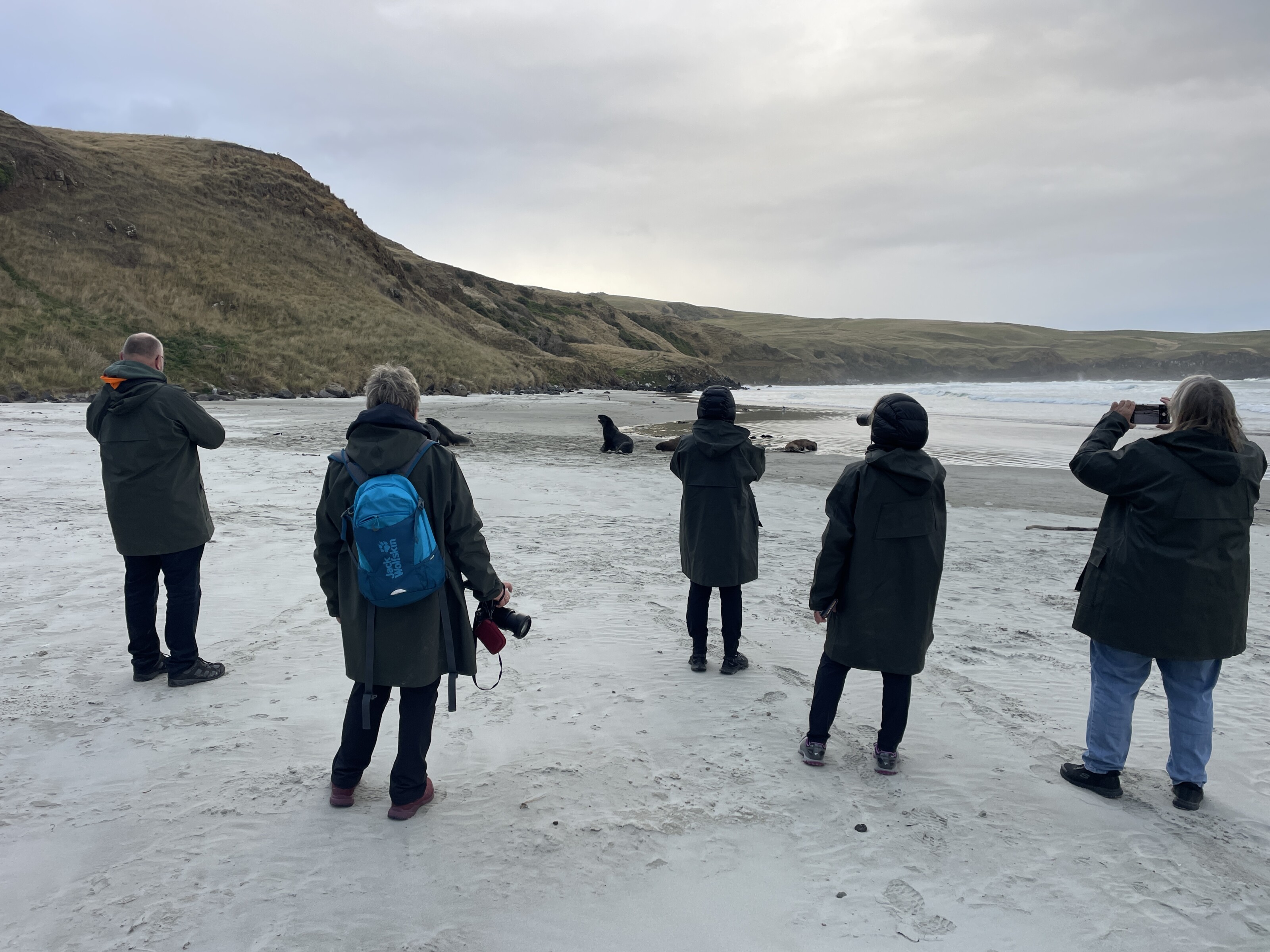 Clearwater Wildlife tour on the secluded beach