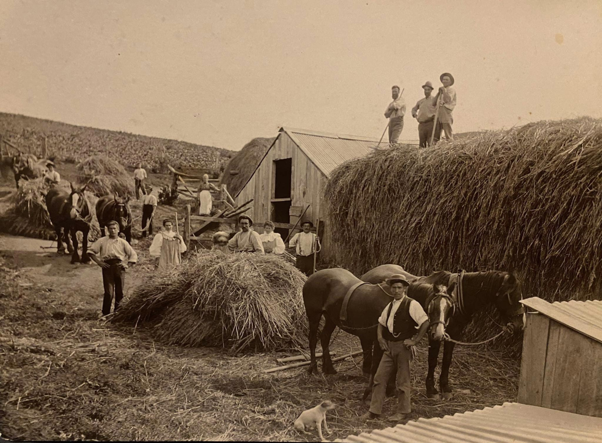 Historic photo of Clearwater family farm