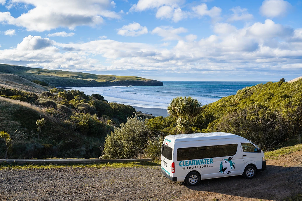 Clearwater Wildlife Tours van overlooking the Otago coastline