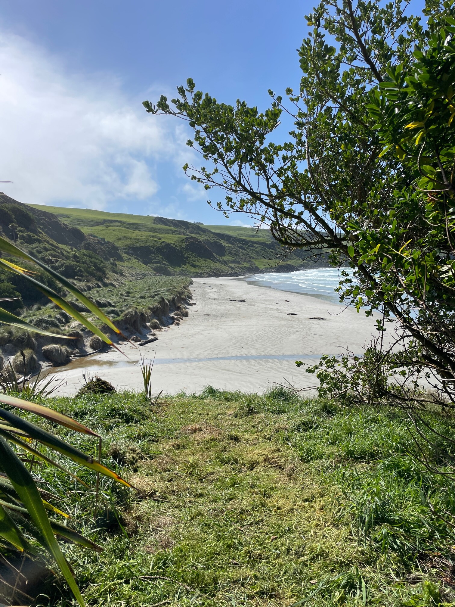 Otago Peninsula coastline and secluded beach