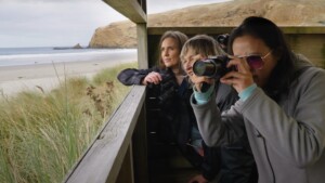 Otago Peninsula wildlife photography